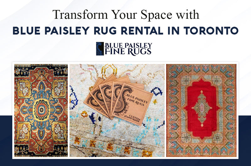 Transform Your Space with Blue Paisley Rug Rental in Toronto