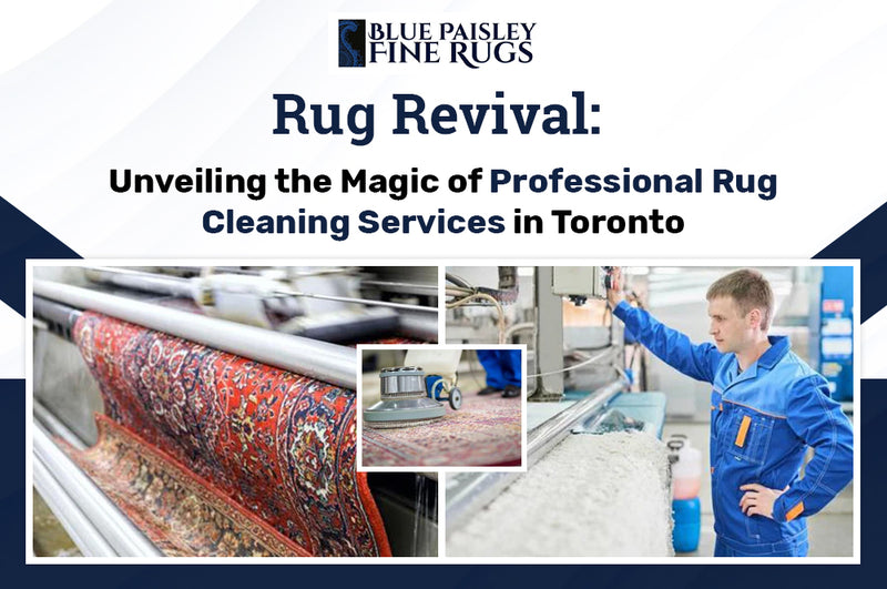 Rug Revival: Unveiling the Magic of Professional Rug Cleaning Services in  Toronto