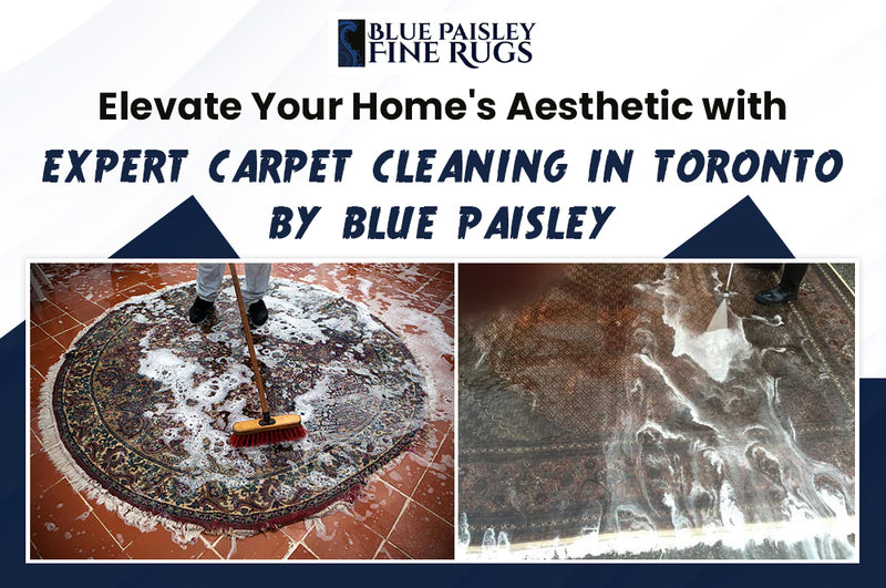 Elevate Your Home's Aesthetic with Expert Carpet Cleaning in Toronto by Blue Paisley