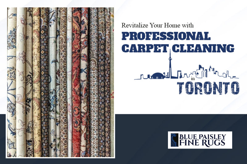 Revitalize Your Home with Professional Carpet Cleaning in Toronto - Blue Paisley
