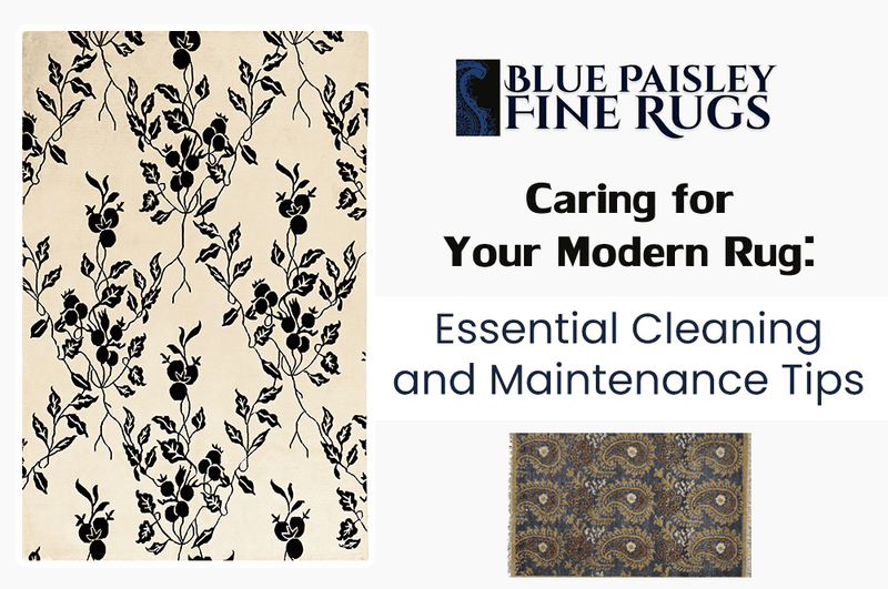 Caring for Your Modern Rug: Essential Cleaning and Maintenance Tips