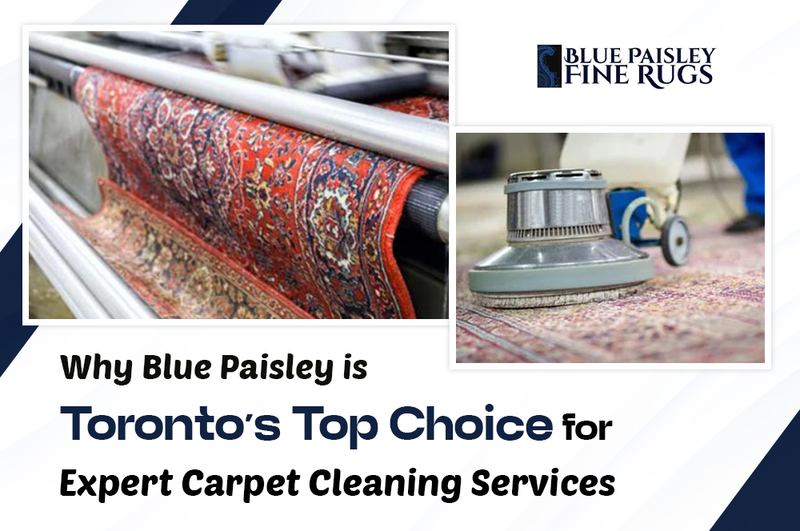 Why Blue Paisley is Toronto’s Top Choice for Expert Carpet Cleaning Services