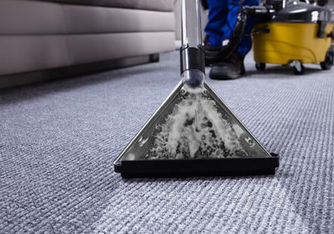 Is your rug in need of a professional cleaning? Is it worth it?