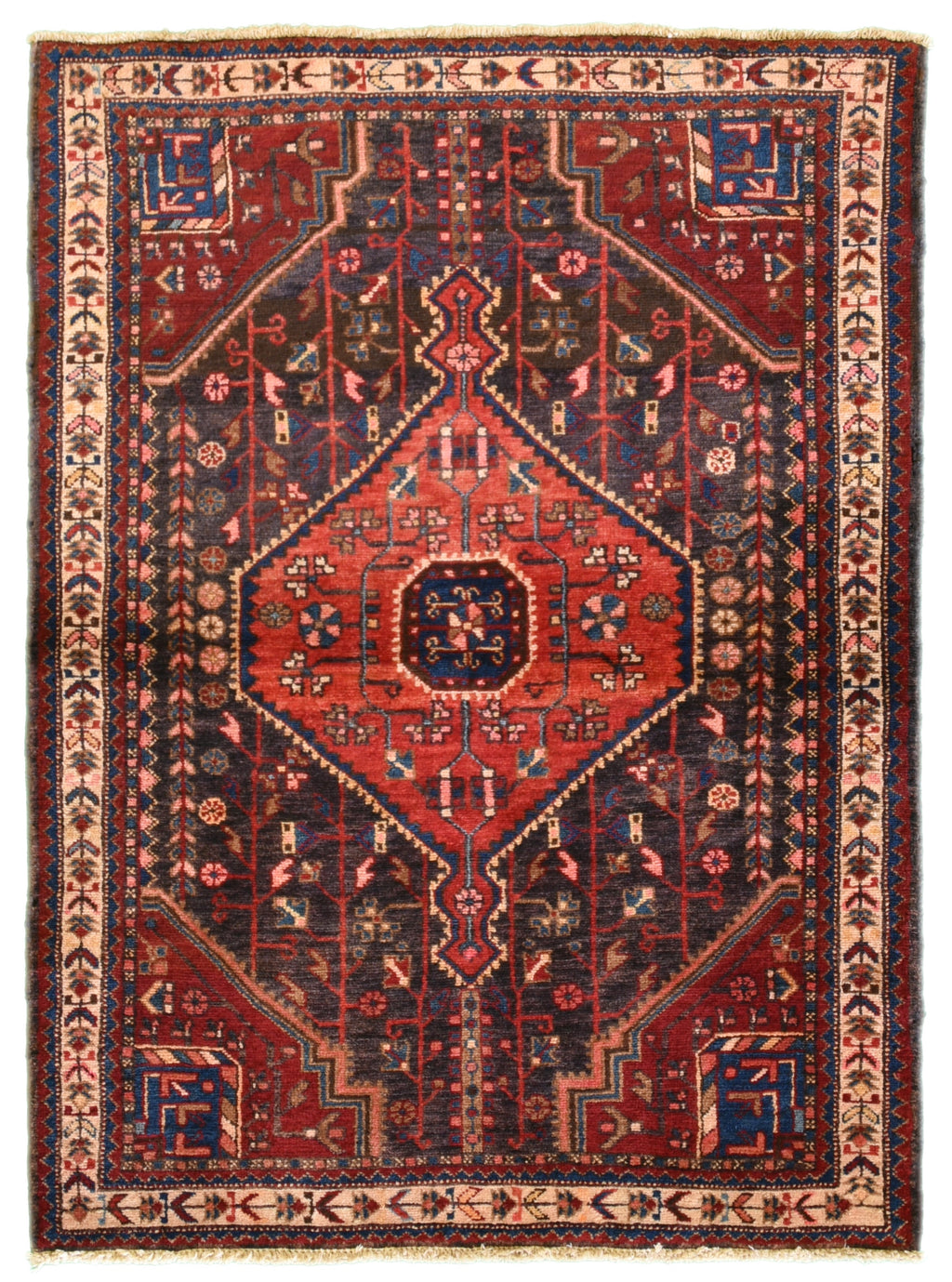Bakhtiari Persian Rug 3 x 5