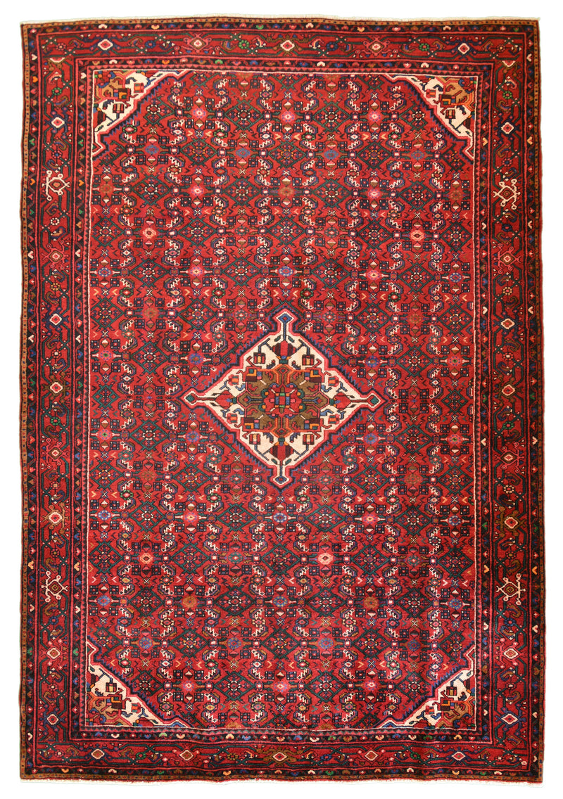 Hossinabad Persian Rug 7 x 10