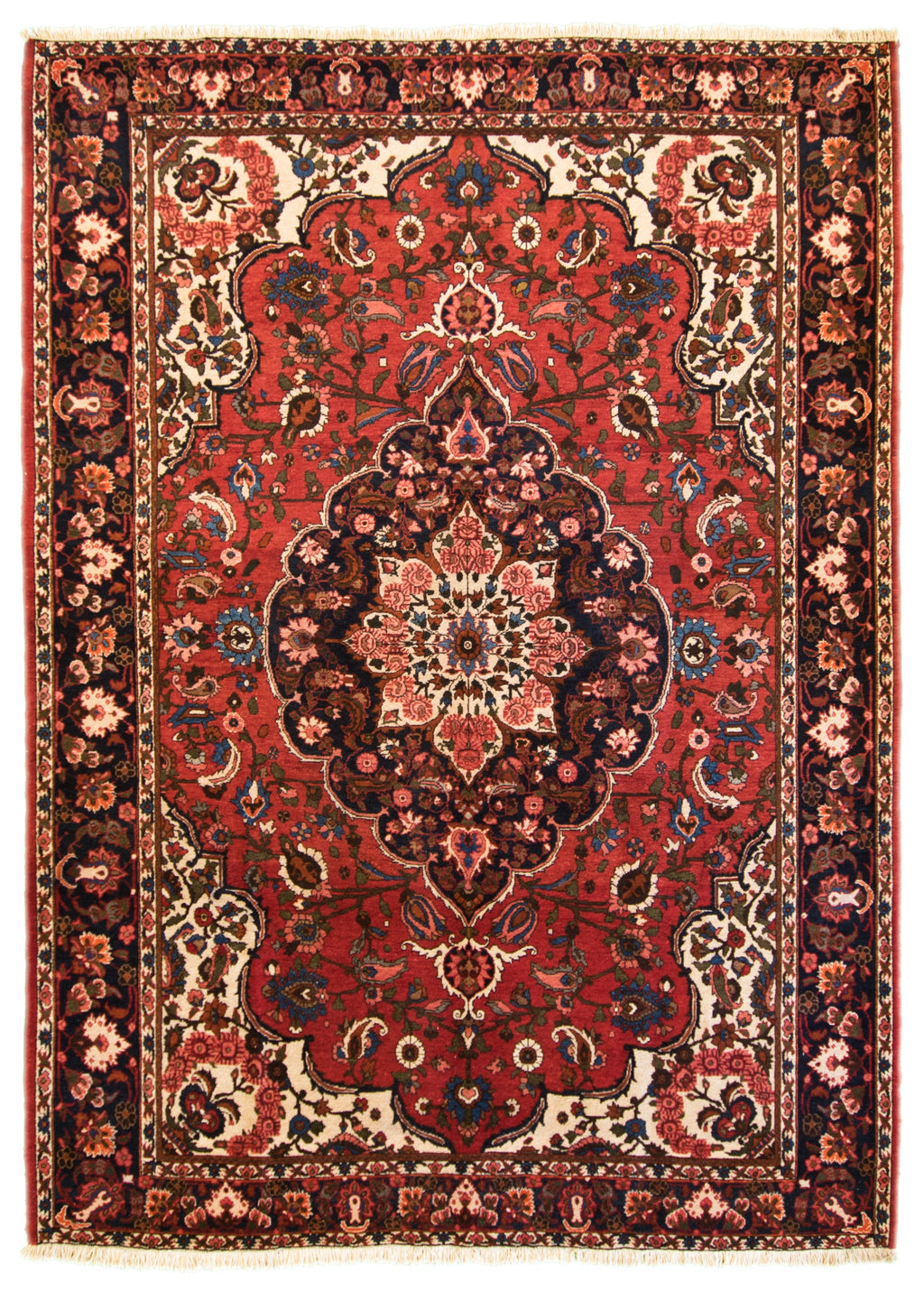 Bakhtiari Persian Rug 9 x 12