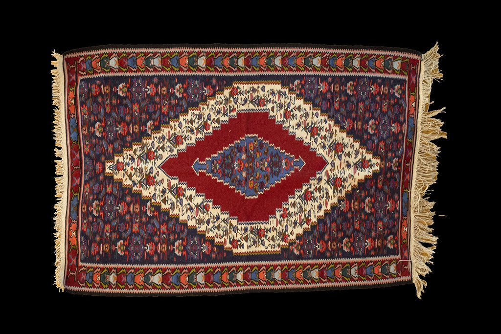 Persian Kilim Multi 4x6